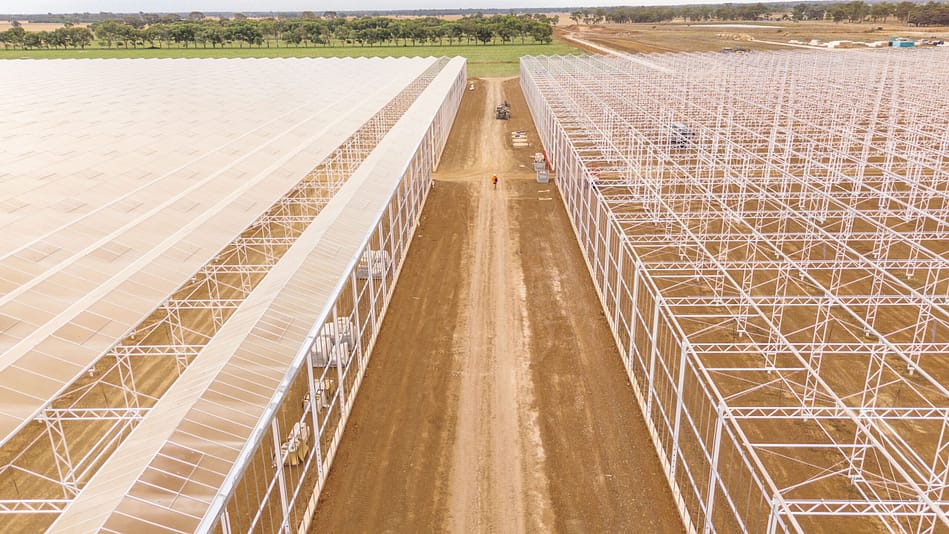 Greenhouse construction